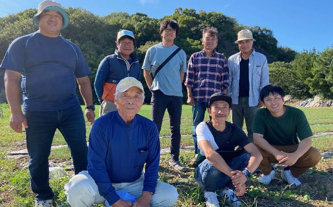 【先行受付】 有機JAS 新玉ねぎ 5kg 玉ねぎ 新たまねぎ 玉葱 たまねぎ 新玉 新玉葱 野菜【2026年3月上旬から4月上旬発送予定】