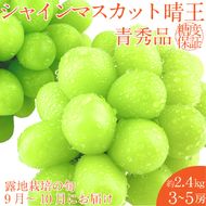 2026年 先行予約シャインマスカット 晴王 約2.4kg(3～5房) 9月～10月出荷/ 岡山県産 種無し 皮ごと食べる みずみずしい フレッシュ 晴れの国 おかやま 果物大国 彩美菜果
