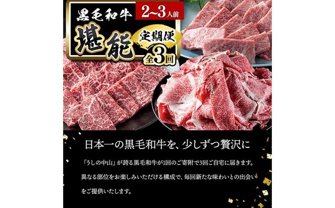 【定期便全3回】＜A4・A5等級＞黒毛和牛堪能〈お試し〉定期便（2～3人分）総重量900g t0035-002