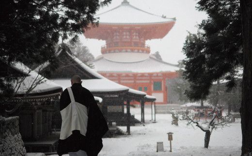 ＜世界遺産高野山＞ 宿坊 宿泊割引チケット 3,000円分 303446_EA001