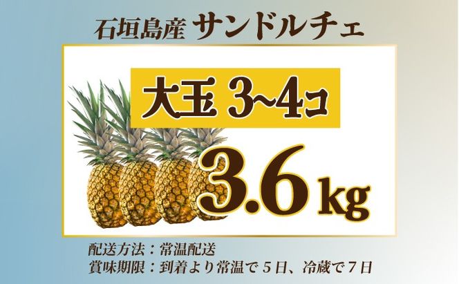 先行予約】《2025年夏季 順次発送》サンドルチェ大玉3～4個 計