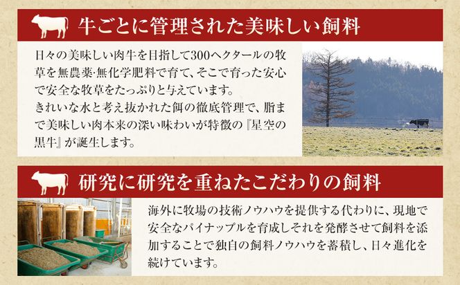 北海道産星空の黒牛 厳選5種BBQセット1kg【 肉 にく ニク 牛肉 牛肉赤身 赤身 牛肉セット バーベキュー 冷凍牛肉 贅沢牛肉 国産牛肉 北海道産牛肉 道産牛肉 簡単 お手軽 特製牛肉 標茶町 北海道 】 016641_AD045