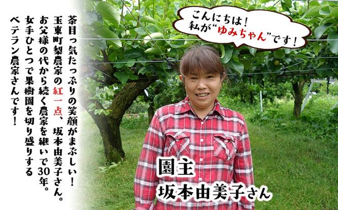 『ゆみちゃん農園』甘太梨 玉東梨 約5kg 7玉-16玉前後 《2026年8月下旬-10月上旬頃出荷》熊本県玉名郡玉東町 梨 なし 果物 フルーツ 旬の梨---sg_cyumikanta_l810_r8_15000_5kg---