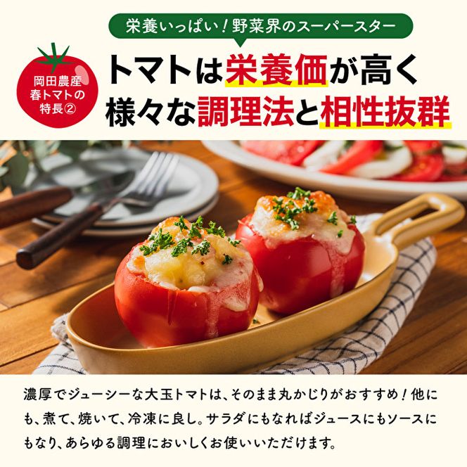 トマト 2kg トマトの一番星 野菜 とまと 完熟 高糖度 甘い 受賞 冷蔵配送