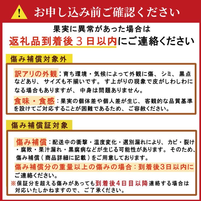 数量限定 先行予約 レモン 2.5kg 7000円 檸檬 国産 愛媛 れもん 期間限定 少量 お試し 特産品 フルーツ 果物 柑橘 人気 おいしい 産地直送 農家直送 ワックス 防腐剤 不使用 あいなんマザーズ 愛南町 愛媛県
