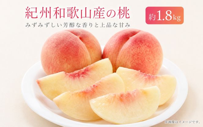 紀州和歌山産の桃　約1.8kg　化粧箱入　※2027年6月下旬頃〜8月上旬頃順次発送（お届け日指定不可）【uot720-2】