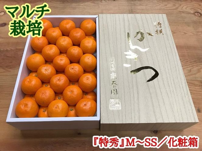 定期便 有田みかん 食べくらべ 3種 化粧箱 各約 3kg 南泰園 全3回 2024年 10月 発送開始 	BS800