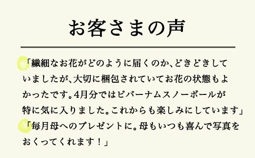 【月1回・12ヶ月定期便】旬とくらすお花の定期便（年12回）　※北海道・沖縄・離島への配送不可　季節の花束　ブーケ　おしゃれ　フラワーギフト　プレゼント