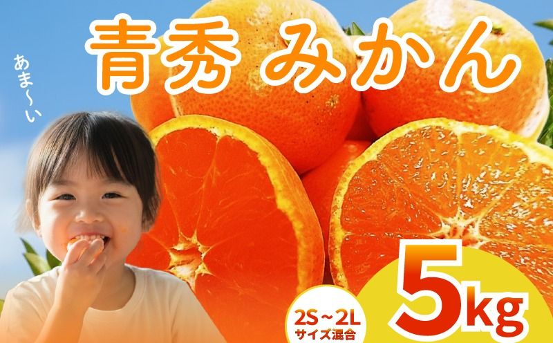 [2025年12月上旬発送開始] アカメの国農園特選みかん 青秀詰め合わせ 5kg / みかん 蜜柑 ミカン 柑橘 フルーツ 果物 みかん くだもの 柑橘 旬 果実 甘味 酸味 甘い mikan 産地直送 農家直送 数量限定 国産 先行予約 ご家庭用 ミカン ご当地 お返し ミカン 贈り物 人気 贈答用 家庭用 土産 手土産 みかん / 安芸市 / アカメの国農園 [AA004]
