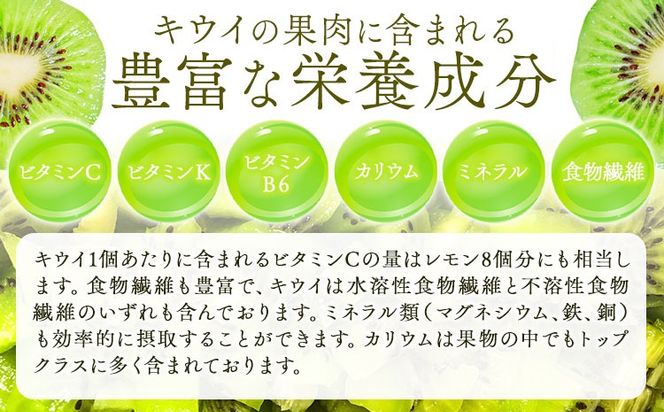 【先行予約】紀の姫キウイフルーツ約3.6kg（20～27玉入） JAわかやま 紀の里地域本部 《1月上旬-2月末頃出荷》和歌山県 紀の川市---wsk_jak23_1j2m_24_12000_3600g---