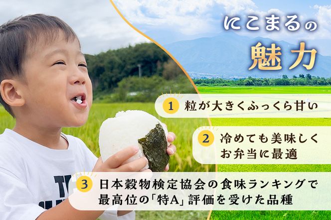 【予約】お米 令和8年度産静岡産にこまる玄米 10kg 米 コメ にこまる 玄米 袋井市 静岡県
