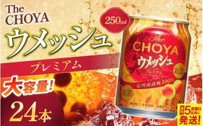 チョーヤ梅酒 TheCHOYA ウメッシュ 250ml缶×24本【9月30日受付終了】【igge0014】
