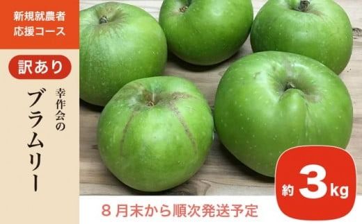【訳あり】 ブラムリー 約3kg ［新規就農者応援コース 幸作会］フルーツ 果物 リンゴ りんご 林檎 クッキング アップル 長野県産 令和7年産【2025年8月末から順次発送】 ［KH-52］