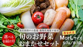  ＼ 選べるお届け月と内容量／  農家直送 旬のお野菜 おまかせセット  野菜セット 野菜 旬 詰め合わせ やさい おまかせ 自然 春野菜 夏野菜 セット 季節 新鮮 旬 農家直送