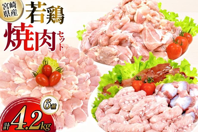 鶏肉 業務用 宮崎県産 若鶏 もも切身 砂肝 肝 小肉 手羽中 肩肉 計 4.2kg セット [TRINITY 宮崎県 日向市 452061333] 小分け 冷凍 鶏もも肉 詰め合わせ