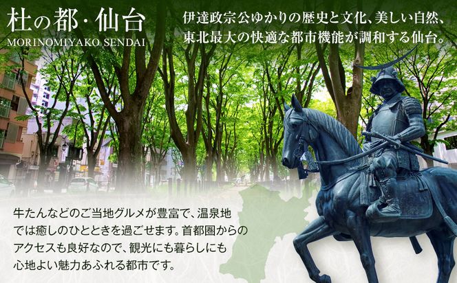 【仙台市】JTBふるさと旅行券（紙券）90,000円分【宮城県 仙台市 トラベル 宿泊 予約 人気 おすすめ】 041009_JDS01
