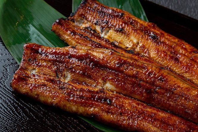 【うなぎ昊】天空うなぎ蒲焼（2尾） 261009_A-JT002