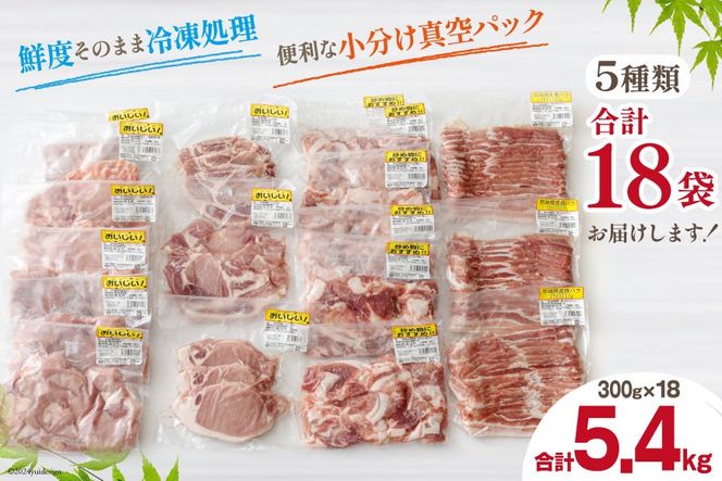 豚肉 小分け 切り落とし ロース 豚バラ スライス お料理セット 計5.4kg [甲斐精肉店 宮崎県 美郷町 31as0046] 肉 冷凍 宮崎県産 豚 ウデ 腕 切落し 詰め合わせ 真空包装 うす切り 薄切り