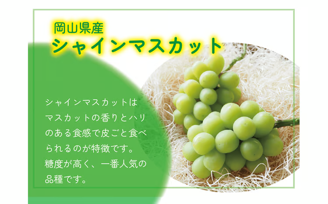 【2026年先行予約】 ここちとふぁーむ 【ギフト】 岡山県産 シャインマスカット 3～5房 2kg以上 【koko004-02】