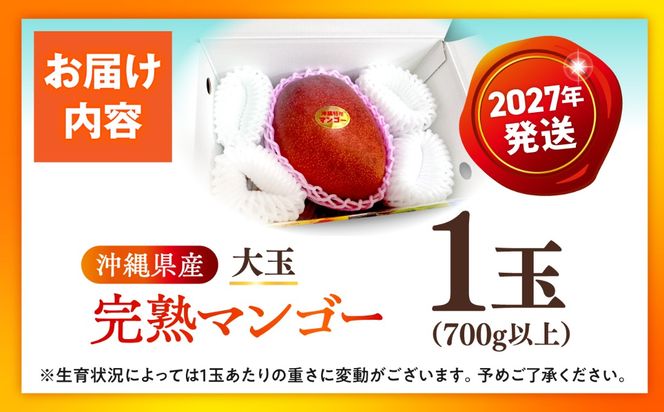 【先行予約】【優秀賞受賞】沖縄県産 完熟マンゴー 大玉 1個入り マンゴー 沖縄 果物 フルーツ ギフト 沖縄市 / MAIFARM[BCAN005]