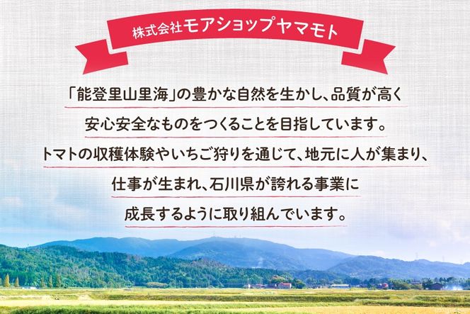 【期間限定発送】 ドライフルーツ いちじく 50g [モアショップヤマモト 石川県 宝達志水町 38601069] 無添加 ドライ イチジク 無花果 期間限定 砂糖不使用 お菓子 おつまみ 果物 フルーツ