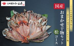 【国産】おまかせ干物セット 松コース【惣菜 魚 干物 ひもの お取り寄せ 御中元 お中元 お歳暮 父の日 母の日 贈り物 家庭用 自宅用 贈答品 贈答用 ギフト 定番 神奈川県 小田原市 】 142069_AM002