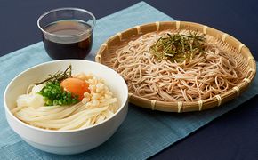 手延半生うどん 半生そばセット 麺類 蕎麦 ソバ 