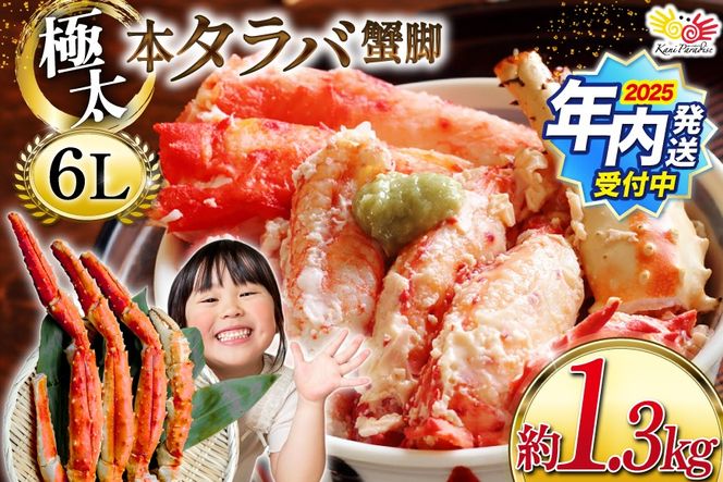 y{錧Cszy2025 Nzz { ^oKj r Xbg 1.3kg ɑ6LTCY {C [Jl_C {錧 Cs 20564363] Jj  I ΂ ΊI ^oI  ^o {C 󂠂