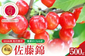 【2026年産　先行予約】佐藤錦 秀品 500g 山形県 東根市　hi062-044