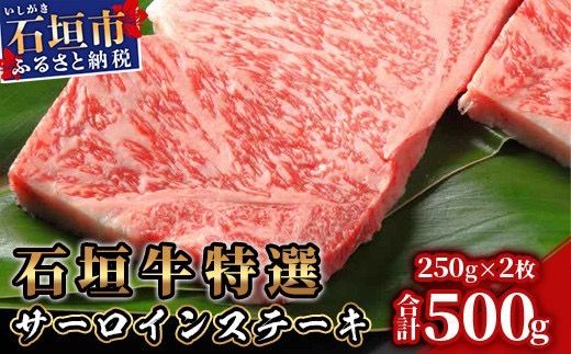 yꌧΊ_szyNz1215܂ŁzΊ_IT[CXe[L250gx2idRp[c~[gjI-11