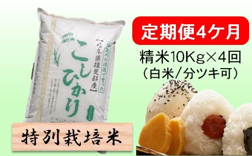 定期便 4カ月【 令和8年産 】毎月  精米 10kg（ 白米 /7分/ 5分 ツキ可）【 コシヒカリ 】玄米は別に出品