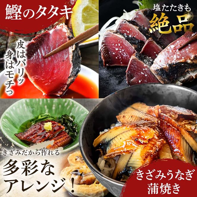 厳選 海鮮5種詰め合わせセット 鰹のタタキ600g マグロ切り落とし200g ブリ切り落とし150g きざみ鰻80g ネギトロ100g かつお カツオ まぐろ 鮪 ぶり うなぎ 冷凍 高知 小分け おいしい 高知県 田野町