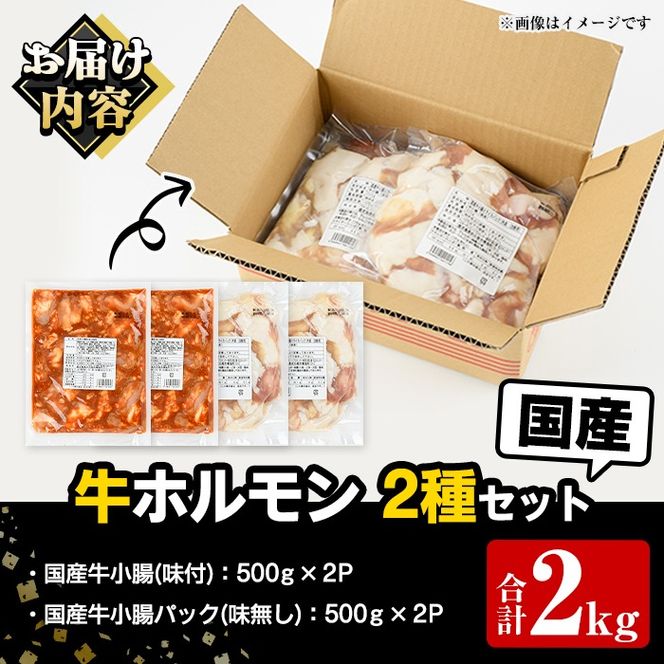 ＼テレビで紹介されました！／国産牛ホルモン2種セット(合計2kg) 国産 特産品 牛 小腸 味付 パック 詰め合わせ 詰合せ 炒め物 鍋 モツ おかず お弁当【スターゼン】akn031-01