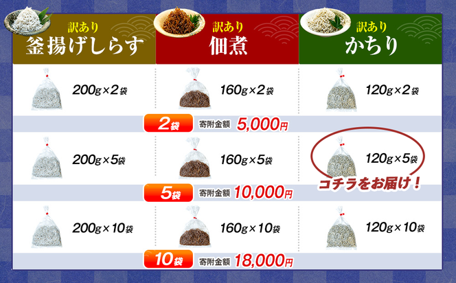 訳あり かちり 600g (120g×5袋) 小分け 冷凍 ちりめんじゃこ シラス 白子 しらす かちり ちりめんじゃこ シラス  ふるさと納税しらす ふるさと納税かちり ふるさと納税ちりめんじゃこ シラス丼 シラス丼 しらすパスタ カネ成 人気シラス 愛知県 南知多町 しらす シラス 米 お米 コメ に合う 丼  シラス shirasu sirasu SIRASU 人気シラス 南知多産しらす