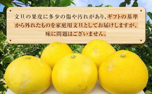 【先行予約】石元農園の土佐文旦 家庭用 大玉 約5キロ ＜2027年2月～発送＞ /  5kg 3Lサイズ 4Lサイズ 文旦 ぶんたん 柑橘 かんきつ みかん フルーツ デザート 果物 高知 【石元農園】 [BQBH005]