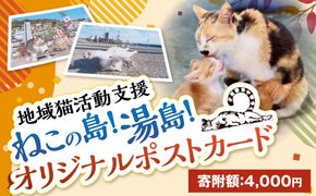 ねこの島！湯島！オリジナルポストカード【地域猫活動支援】 猫 ねこ ネコ オリジナルグッズ ポストカード オリジナルポストカード 2種 セット 猫島 猫の島 湯島 熊本県 上天草市