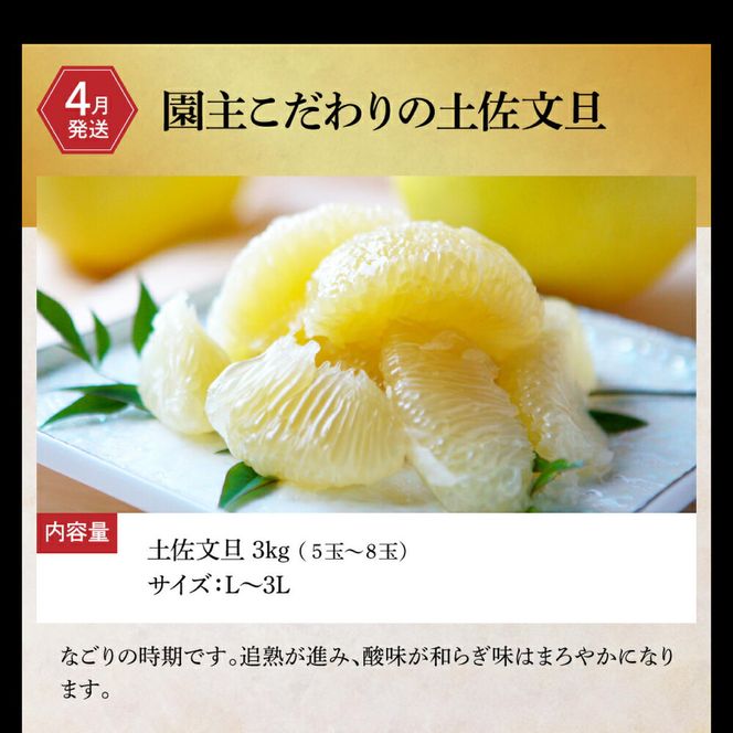 【全6回定期便】土佐市まるごとセット/ お楽しみ 土佐文旦 文旦 トイレットペーパー ティッシュ 日用品 消耗品 かつおのタタキ 鰹 藁焼き ネギトロ まぐろたたき パック 便利 高知県 土佐市【土佐市】[BQCD013]
