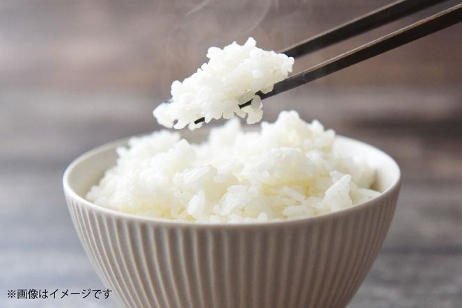 米 白米 パックご飯 おひさま米レトルト 150g 4箱 [HUTTE 宮崎県 美郷町 31ao0031] ふるさと納税 パックごはん パックライス ご飯 ご飯パック ごはんパック パック レトルト 防災 防災食 保存食 備蓄 非常食 ローリングストック