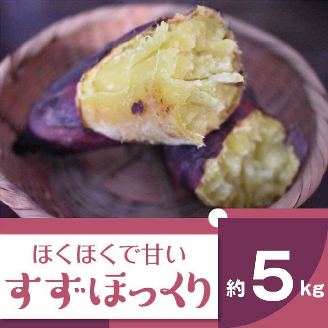 2025年度産 ホクホクで甘いさつまいも すずほっくり 約5kg｜さつまいも 芋 お芋 すずほっくり 渋谷農園 茨城県 行方市(BZ-13)