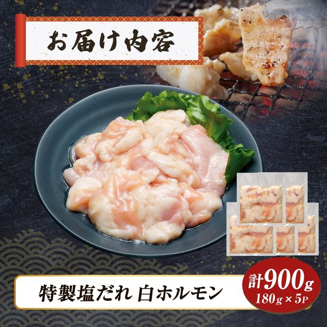 【自社農場和牛】黒毛和牛 特製塩だれミックスホルモン 900g（国産 黒毛和牛 宮崎牛 牛肉 塩だれ ホルモン ミックスホルモン 冷凍 宮崎県 小林市）