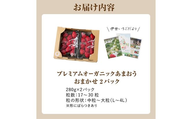【先行予約】オーガニックあまおう「いせいちご」2パック(280g×2)【伊世いちご畑】_HA1116