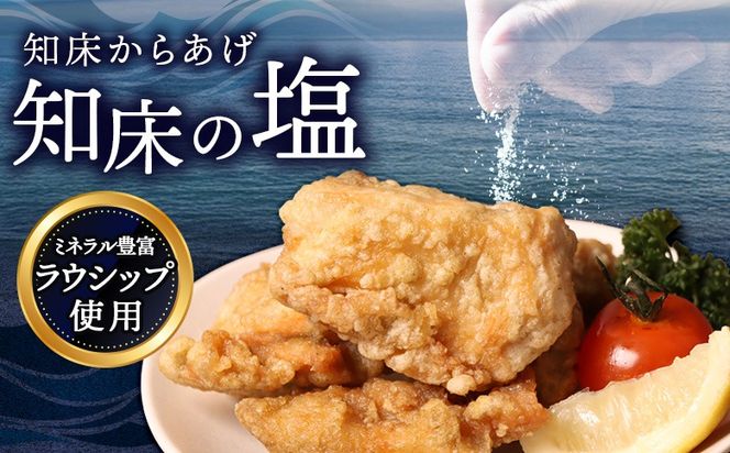 【レンジで簡単】知床からあげ【知床の塩】1kgセット（もも250g×2パック・むね250g×2パック）【3500901】