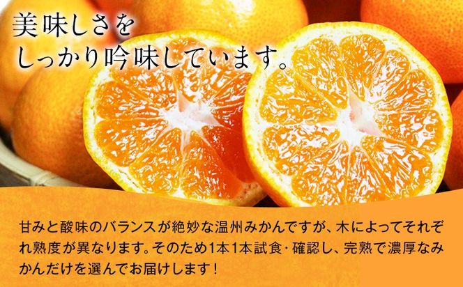 【先行予約】みかん 紀州有田産 濃厚完熟 小玉みかん 約5kg S-3Sサイズ 株式会社魚鶴商店《2026年11月下旬-12月下旬頃出荷》 和歌山県 日高川町 みかん 小玉みかん 完熟 濃厚 柑橘 小玉 小さい---wshg_uot169_11g12g_25_16000_5kg---