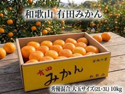 ［大玉サイズ(２Ｌ・３Ｌ）・秀／優混合］早生みかん≪10kg≫和歌山有田産！［予約販売］［数量限定］まる隆果樹園	CS029