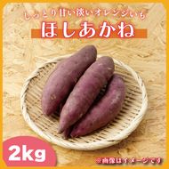 【2025年11月より順次発送】2025年度産 しっとり甘い淡いオレンジいも ほしあかね 約2kg｜さつまいも 芋 お芋 ほしあかね 渋谷農園 先行予約 茨城県 行方市(BZ-59)