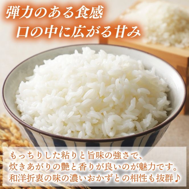 ＼先行予約・12月発送／山﨑観光農園のお米　コシヒカリ　白米5kg｜栃木県 益子町 ふるさと納税 お米 米 白米 精米 5kg（AU014-12）