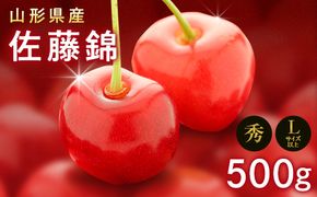 FYN9-601 《2026年先行予約》山形県産 さくらんぼ 佐藤錦 500g 秀 L以上 バラパック詰め 2026年6月上旬から順次発送 果実 果物くだもの フルーツ 桜桃 サクランボ 化粧箱 贈り物 ギフト 贈答用 家庭用 自宅用 産地直送 山形県 西川町 月山