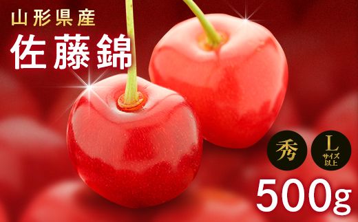 yR`쒬zFYN9-601 s2026Ns\tR`Y   500g G Lȏ opbNl 2026N6{珇 ʎ ʕ t[c  TN{ ϔ 蕨 Mtg p ƒp p Yn R` 쒬 R