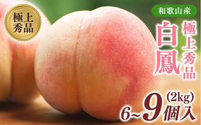 先行受付!　桃の王様【白鳳】　特秀品　約2kg　6～9個入