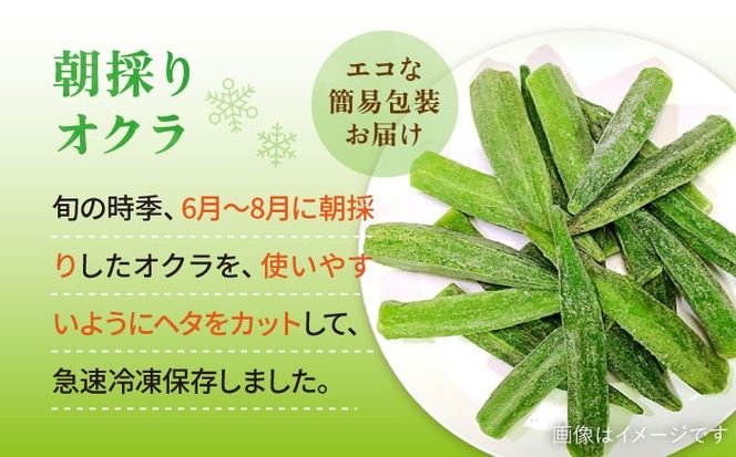 オクラ 1kg 冷凍 旬の時期に急速冷凍 【福岡県糸島産】 糸島市 / オーガニックナガミツファーム 野菜 おくら[AGE054]